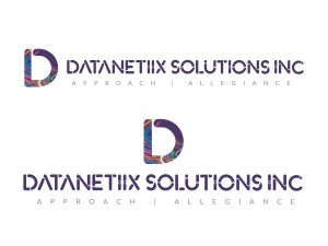 datanetiix-solutions-inc