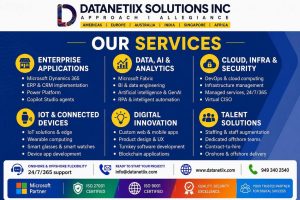 Datanetiix Solutions Inc Datanetiix Solutions Inc